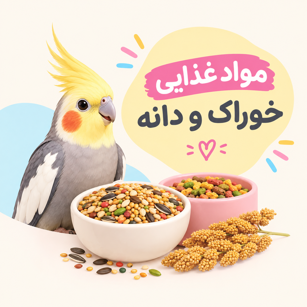 غذای طوطی