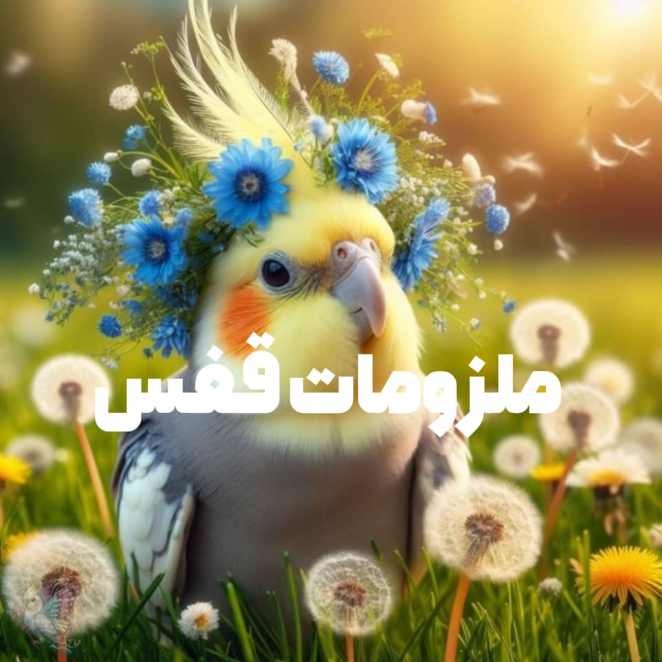 ملزومات قفس