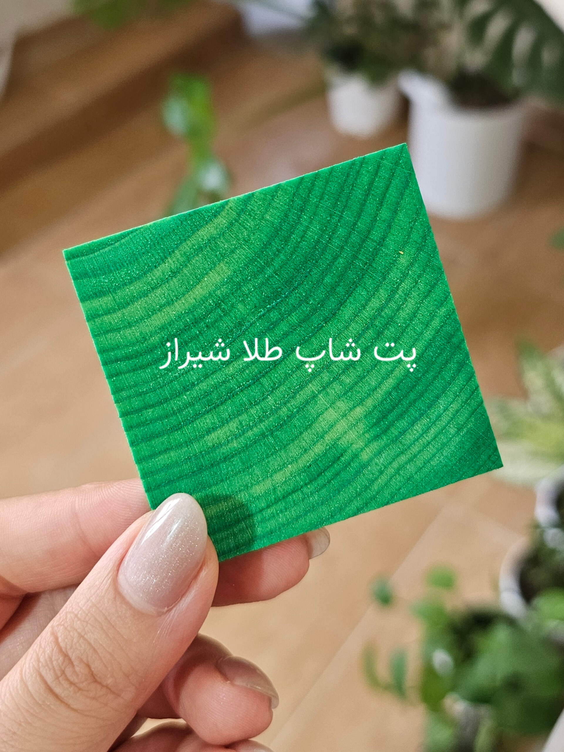 بیسکویت چوبی جویدنی طوطی مدل رنگی
