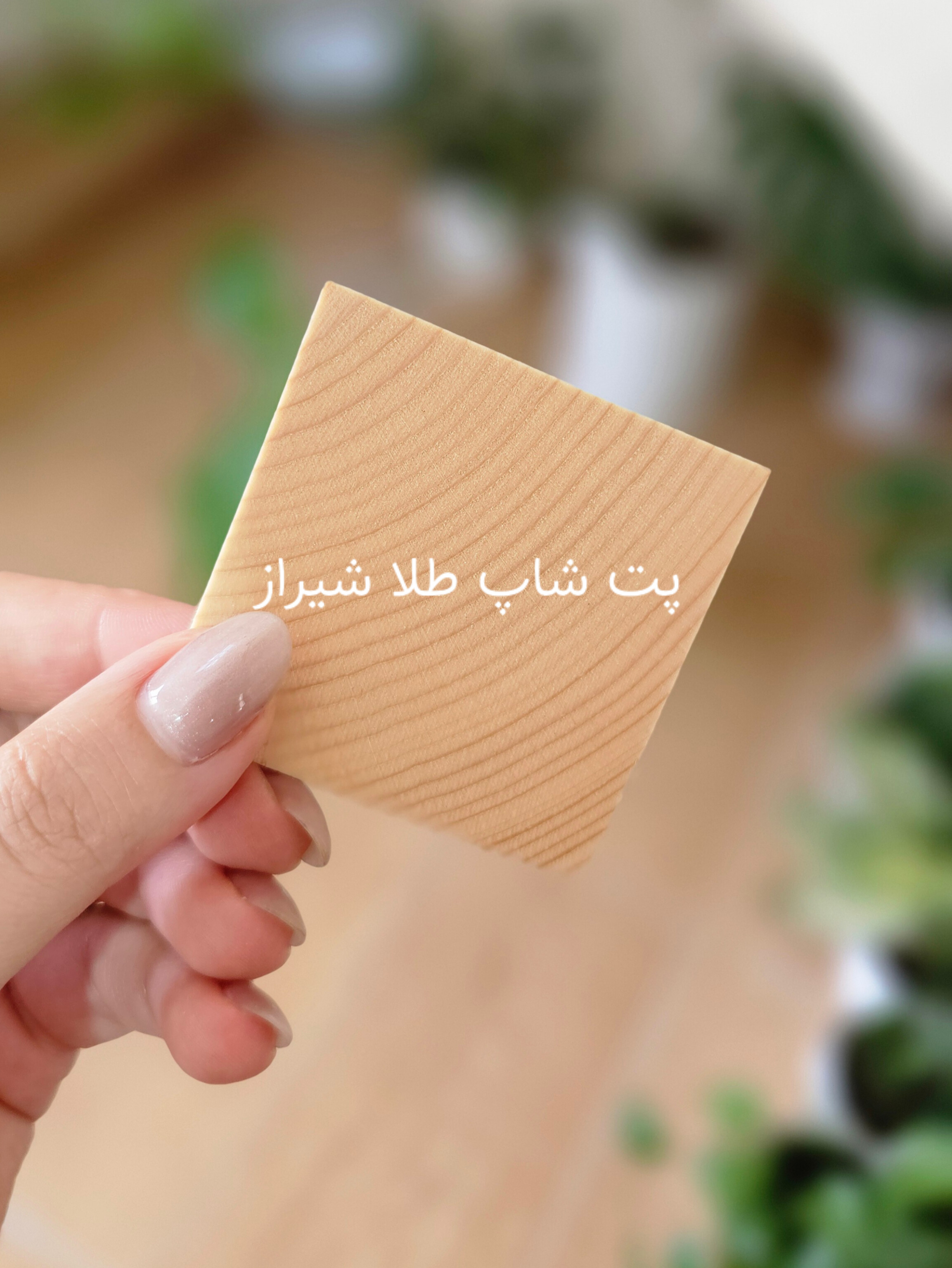 بیسکویت چوبی جویدنی طوطی | مدل ساده