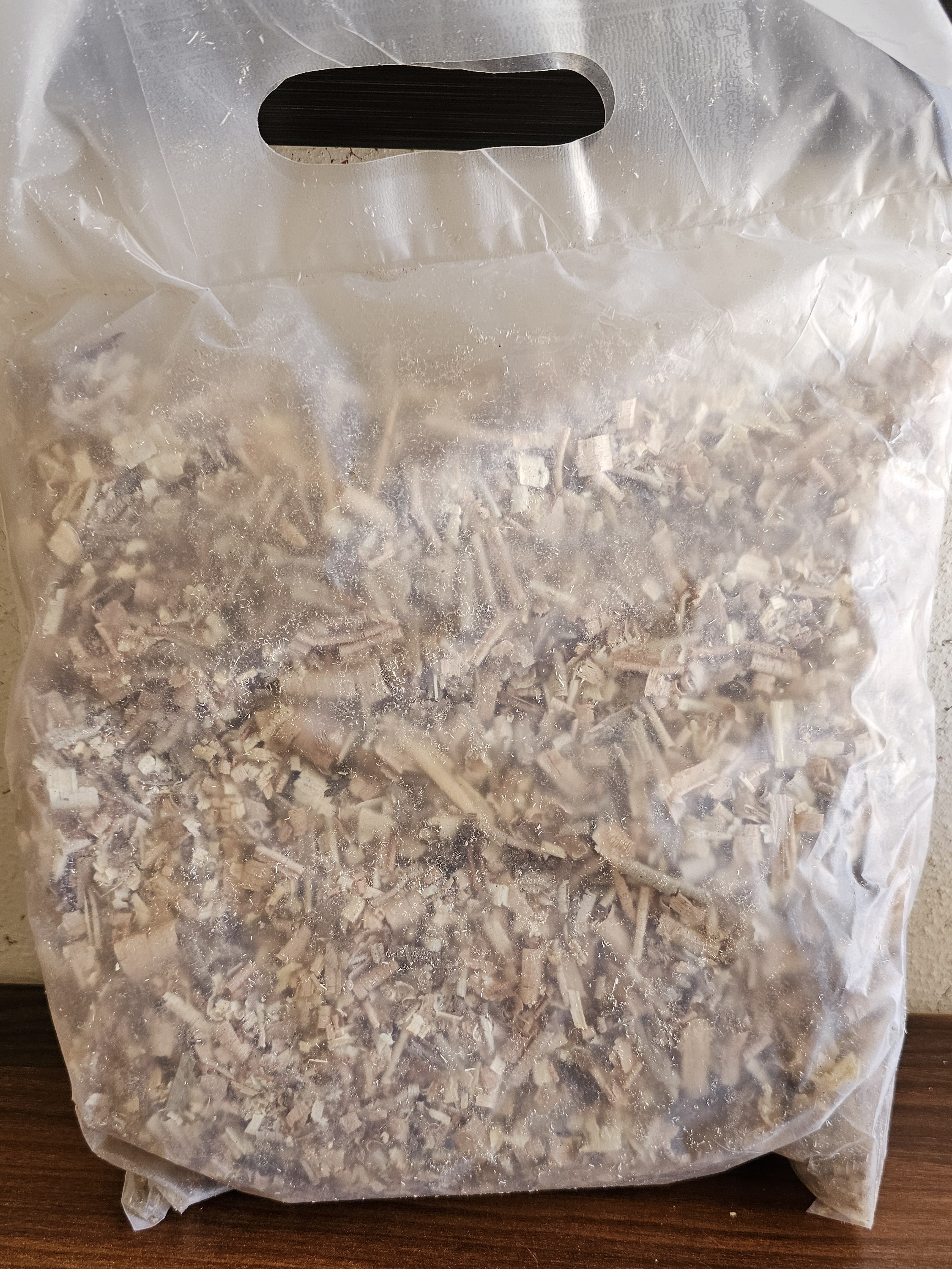 پوشال بستر طوطی