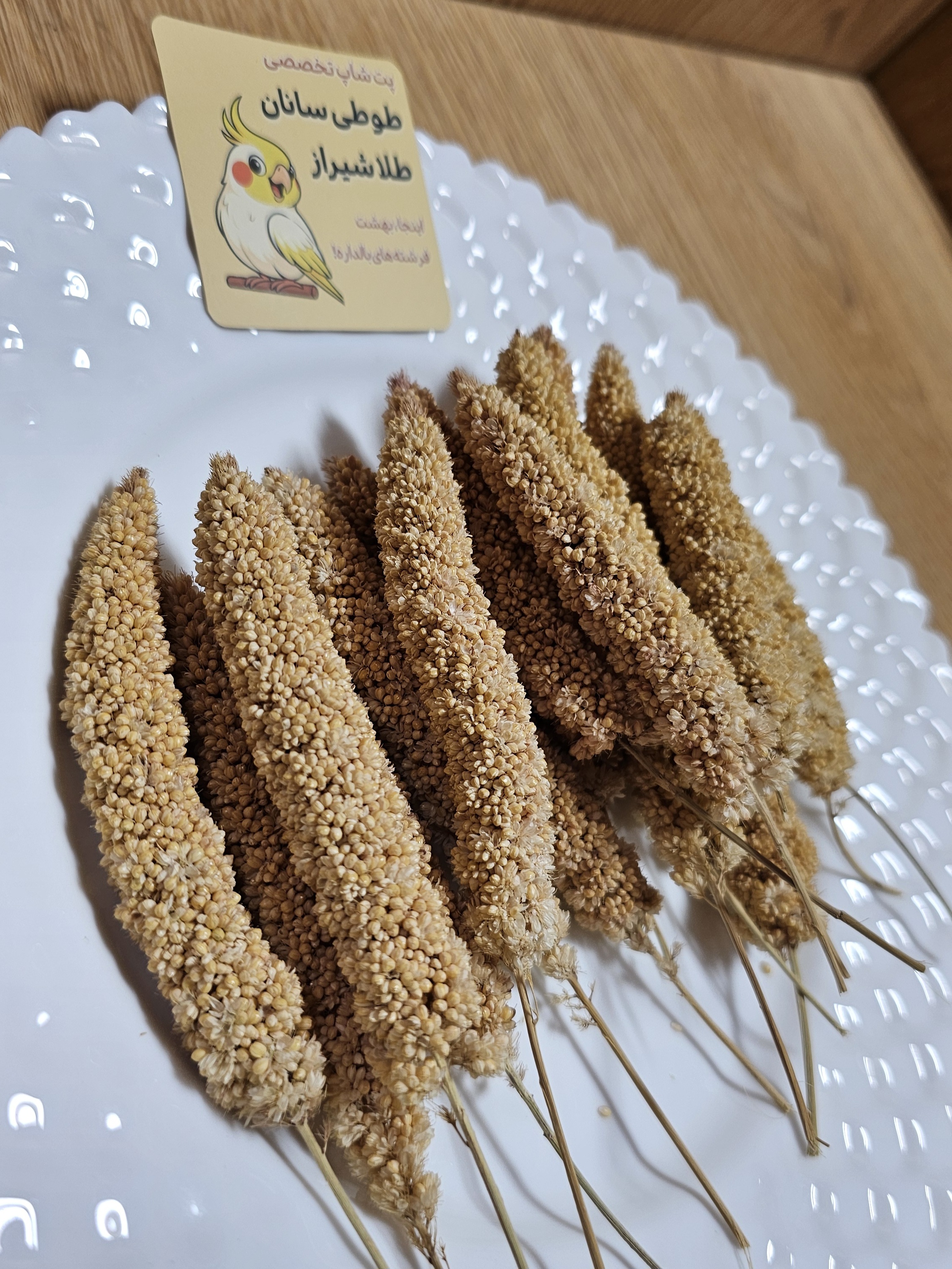 ارزن خوشه ای طوطی سانان و پرنده ها